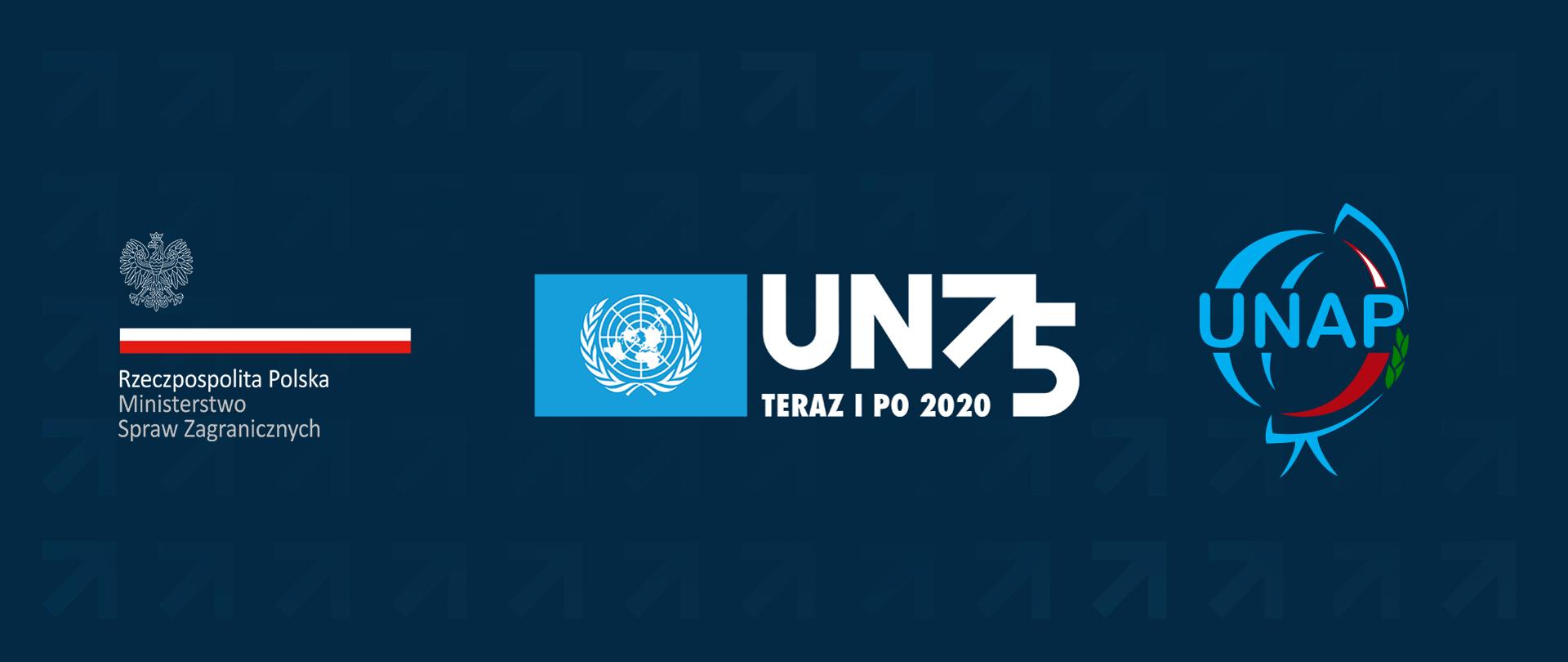 Logotypy MSZ oraz ONZ