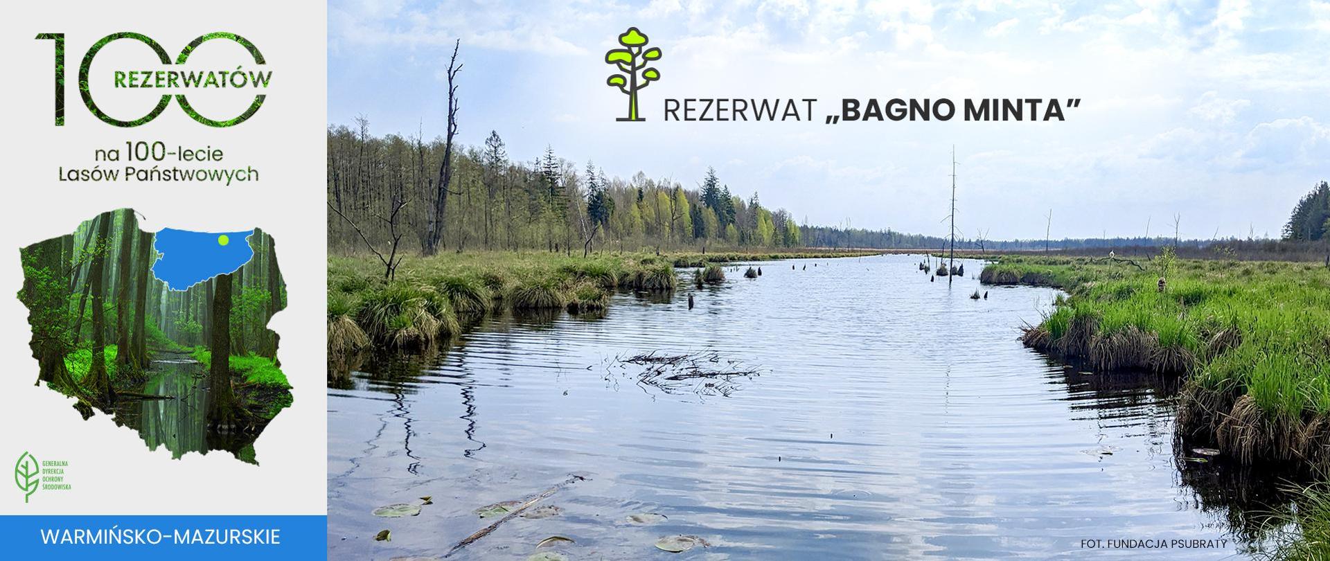 Na zdjęciu znajduje się teren podmokły i zbiornik wodny o środku.