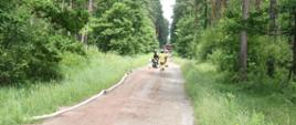 Strażacy rozwijający linię gaśniczą na drodze leśnej