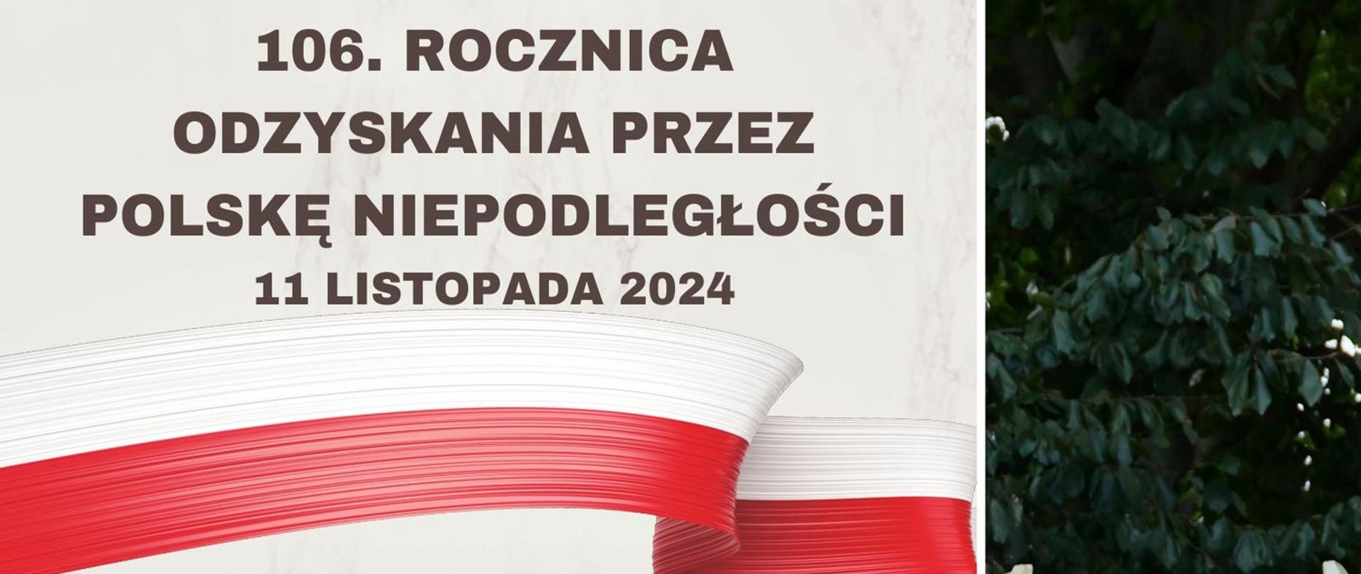 Grafika w jasnych odcieniach bieli przestawiająca po prawej stronie statuę orła i przechodzącą w górnej części wszerz Polską flagę narodową - barwy biało-czerwone. W tle znajduje się harmonogram Obchodów: "godz. 11.00 - Uroczysta Msza Święta w intencji ojczyzny - Bolesławiecka Bazylika Maryjna; godz. 12.00 - niepodległościowy apel pamięci - pomnik 100-lecia Odzyskania Niepodległości, ul. Bankowa; godz. 12.45 - RYNEK - defilada Kompanii Honorowej 23 Śląskiego Pułku Artylerii i US Army, kawalkada patrolu konnego Grupy Rekonstrukcji 6. Pułku Ułanów Kaniowskich; godz. 13.15 - 15.00 - Plac Księdza Jerzego Popiełuszki: widowisko musztry konnej Grupy Rekonstrukcji 6. Pułku Ułanów Kaniowskich, przejażdżki na koniach dla dzieci; godz. 13.30 - 15.30 - Plac Marsz. Józefa Piłsudskiego – grochówka wojskowa, pokazy sprzętu 23 Śląskiego Pułku Artylerii i US Army; godz. 18.00 - koncert niepodległościowy w Teatrze Starym z udziałem Państwowej Szkoły Muzycznej I stopnia w Bolesławcu, pracowni wokalnej Młodzieżowego Domu Kultury w Bolesławcu, Chóru Synkopa 2 z I Liceum Ogólnokształcącego w Bolesławcu oraz harcerzy Hufca ZHP im. Szarych Szeregów."