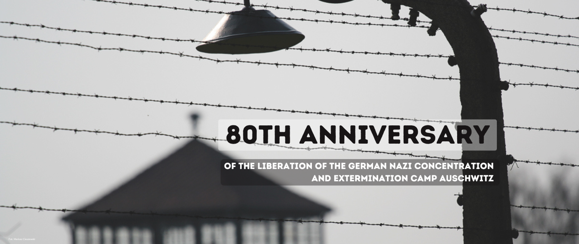 80th anniversary of the liberation of Auschwitz-Birkenau: memory and responsibility