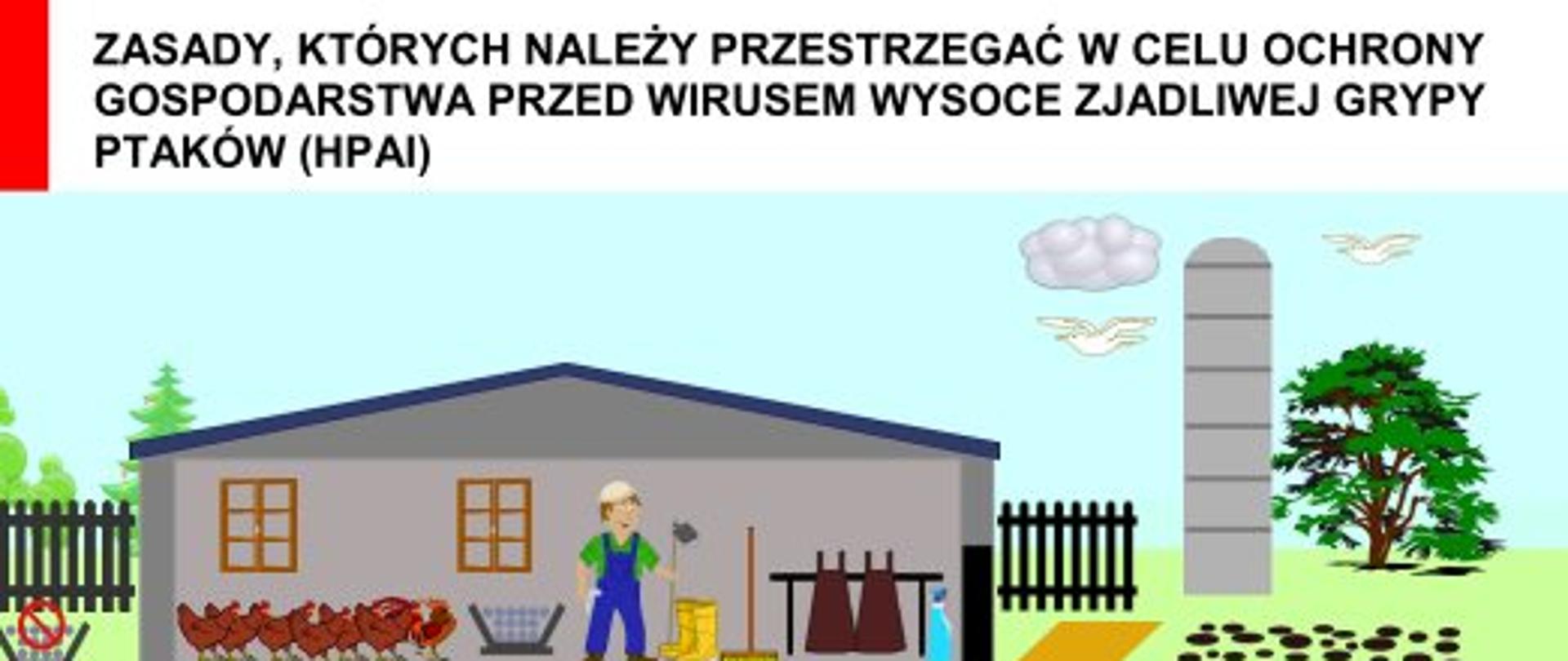 Zasady, których należy przestrzegać w celu ochrony gospodarstwa przed wirusem wysoce zjadliwej grypy ptaków (HPAI)