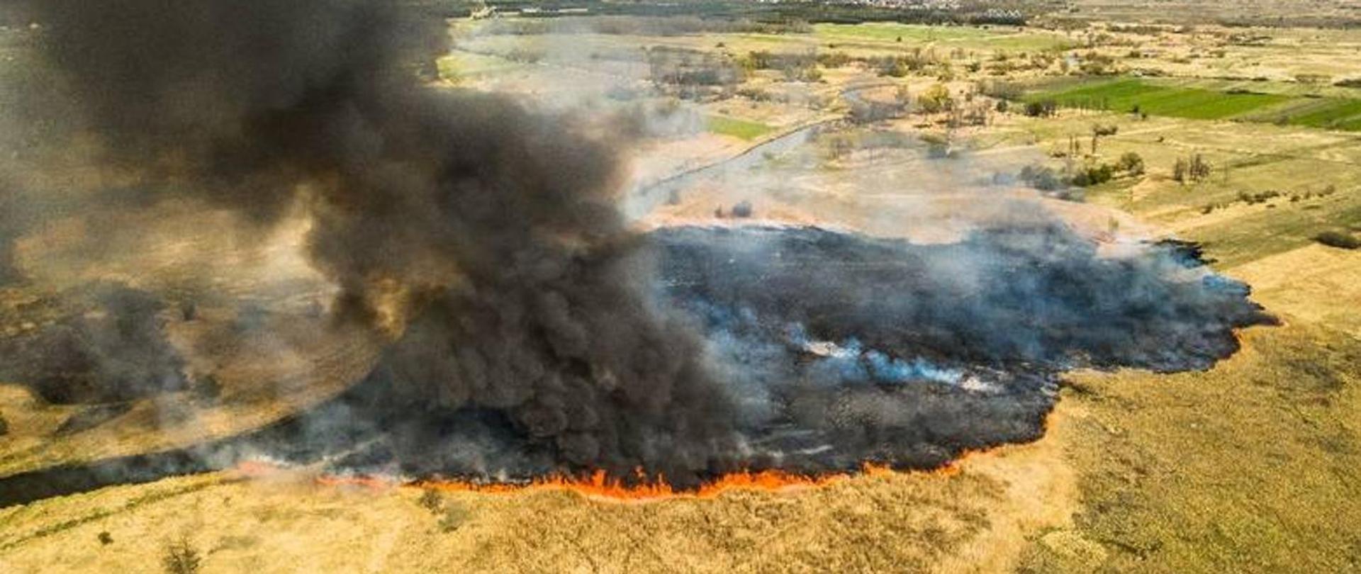 Zdjęcie przedstawia pożar suchej roślinności widoczny z powietrza