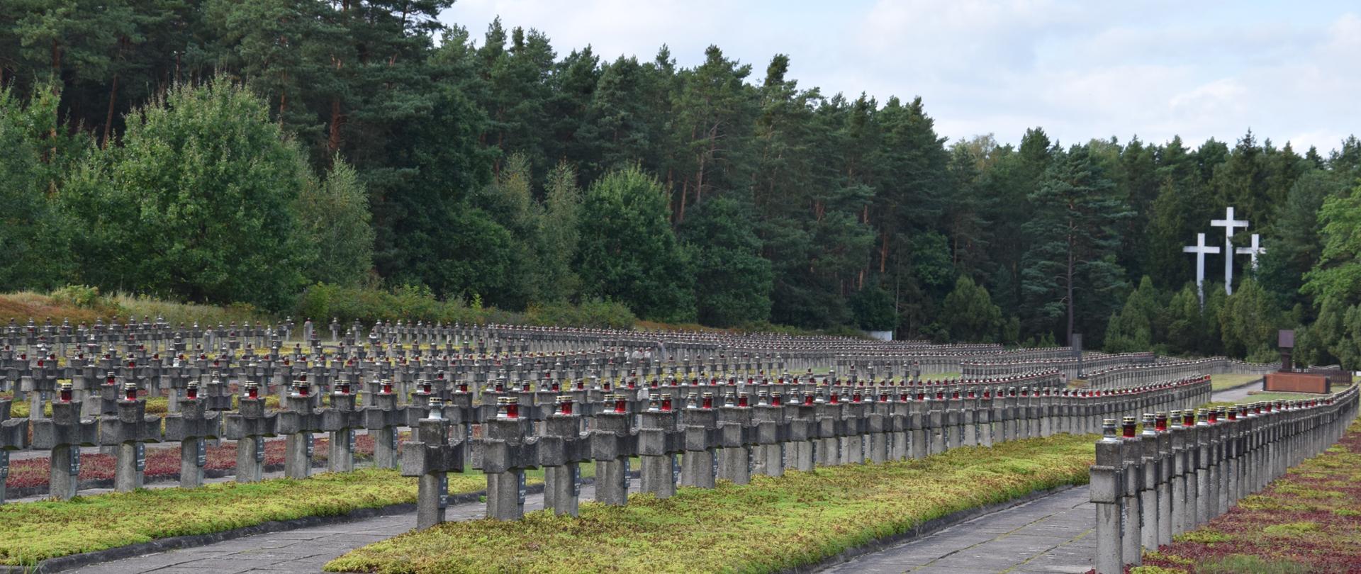 Palmiry: 83. rocznica masowych egzekucji na mieszkańcach Warszawy 