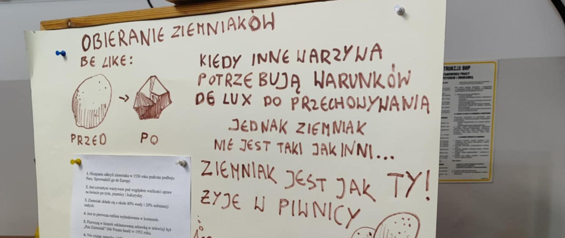 na sztaludze zawieszony żółty katon z napisem: obieranie ziemniaków. Kiedy inne warzywa potrzebują warunków do przechowywania jednak ziemniak nie jest taki jak inni... ziemniak jest jak TY, żyje w piwnicy, poniżej napis Bądź jak ziemniak