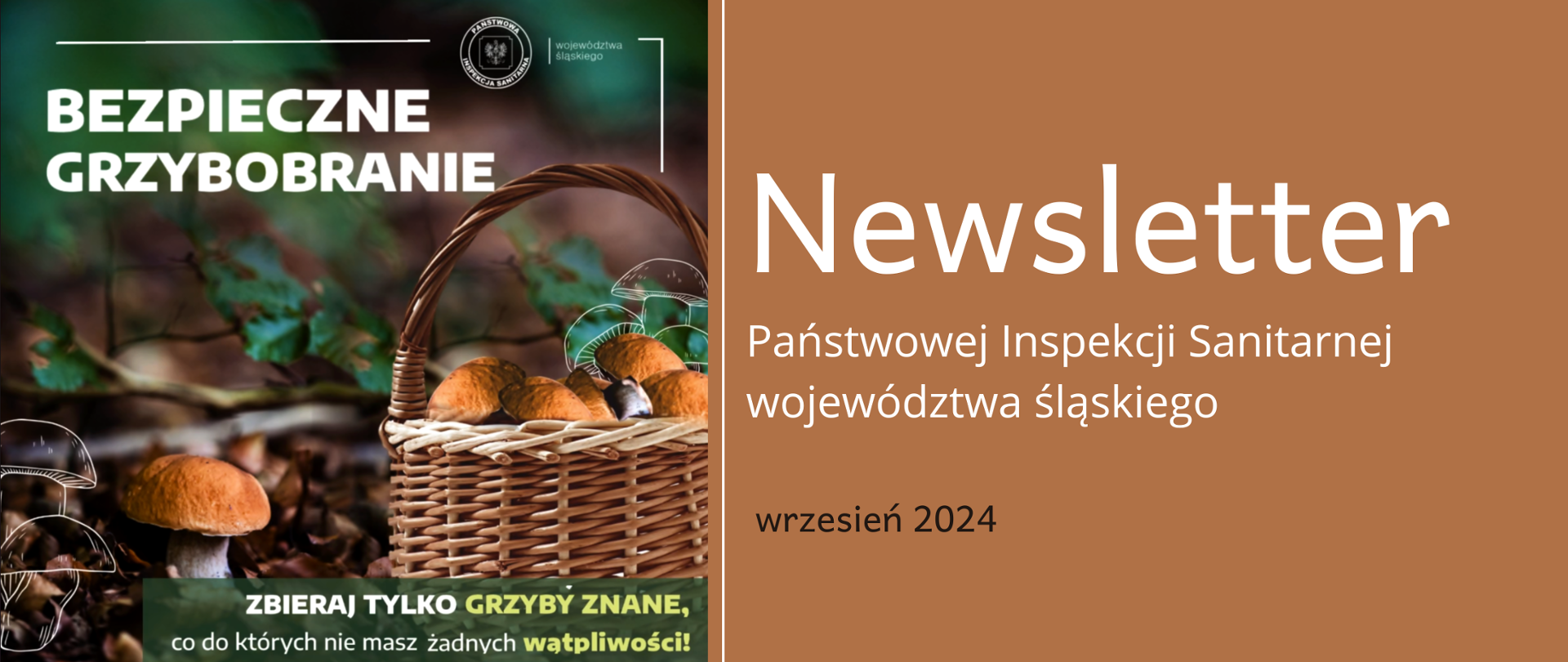 Bezpieczne grzybobranie Newsletter Państwowej Inspekcji Sanitarnej województwa śląskiego wrzesień 2024