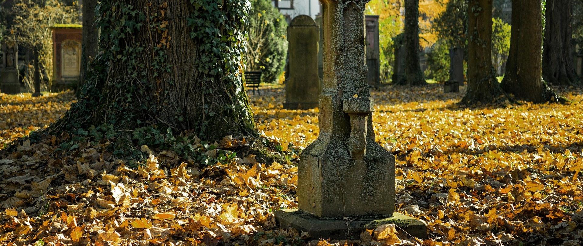 Kamienny krzyż w jesiennym lesie