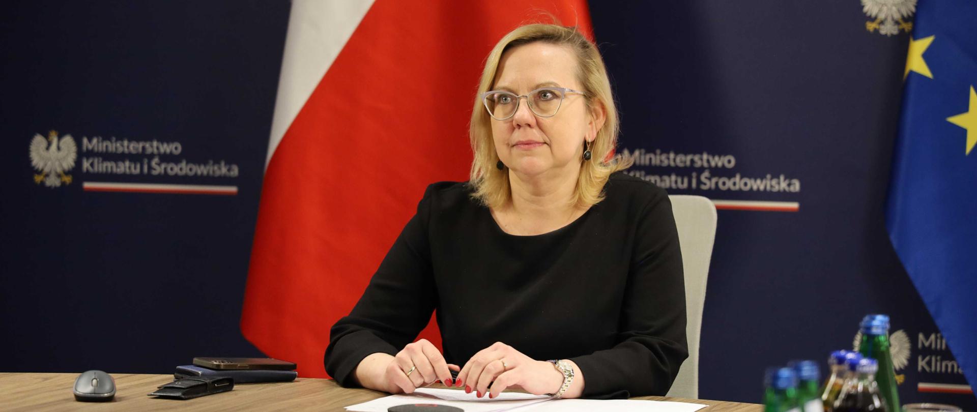 Minister klimatu i środowiska Anna Moskwa podczas Międzynarodowej Rady Doradczej dla Ministerstwa Energetyki Ukrainy