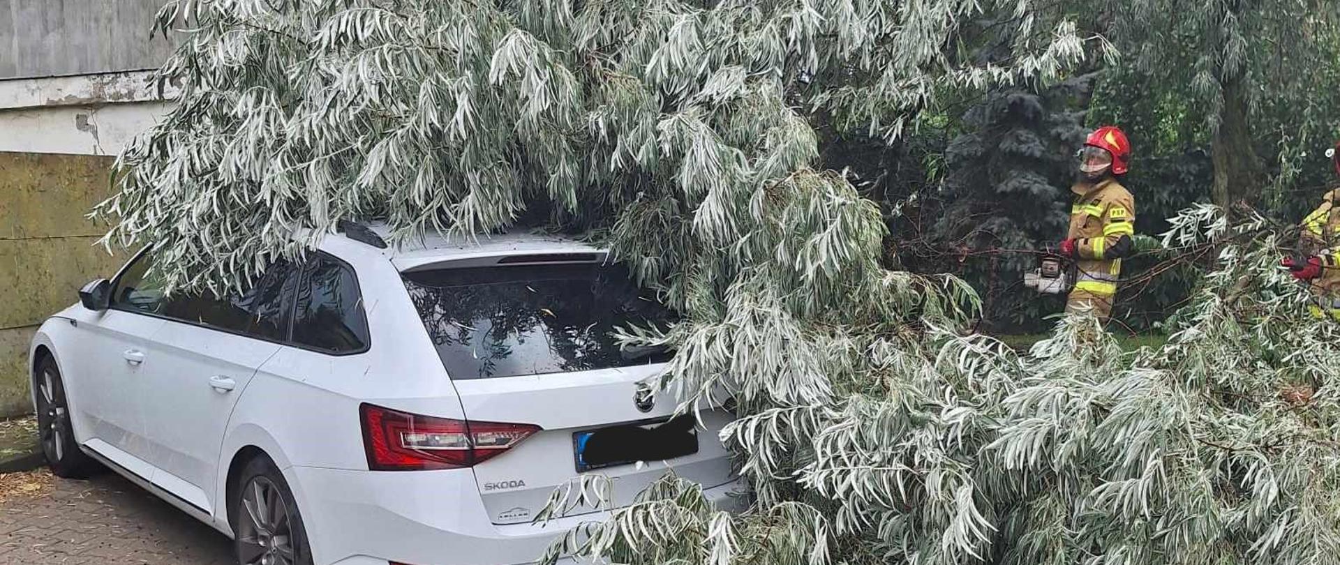 Zdjęcie przedstawia powalone drzewo, które leży na samochodzie koloru białego.
