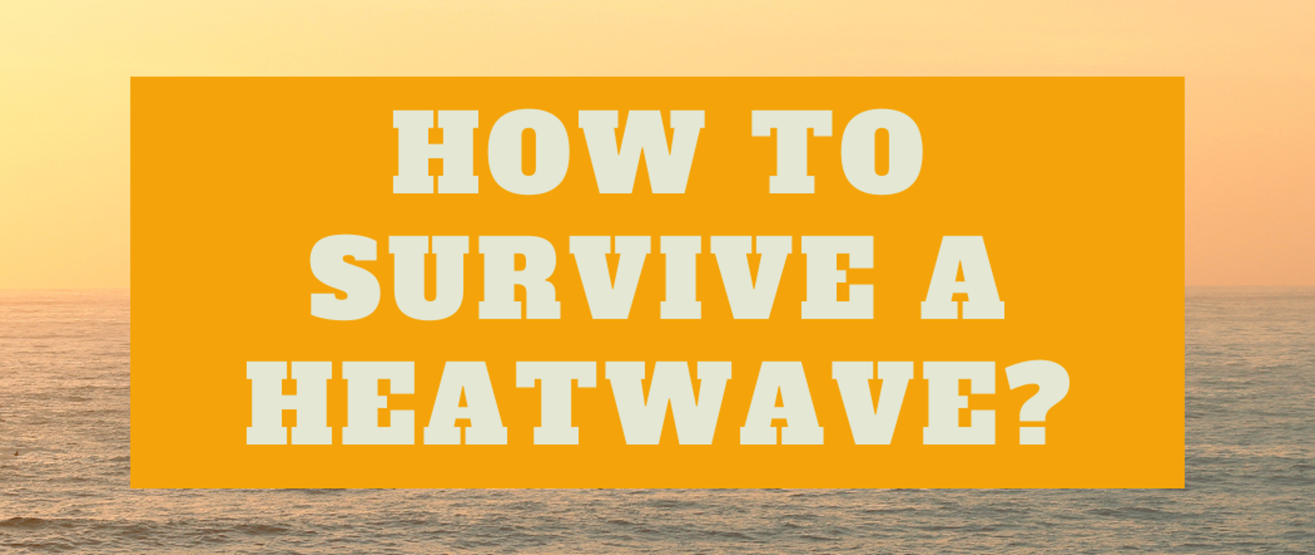 How to survive a heatwave