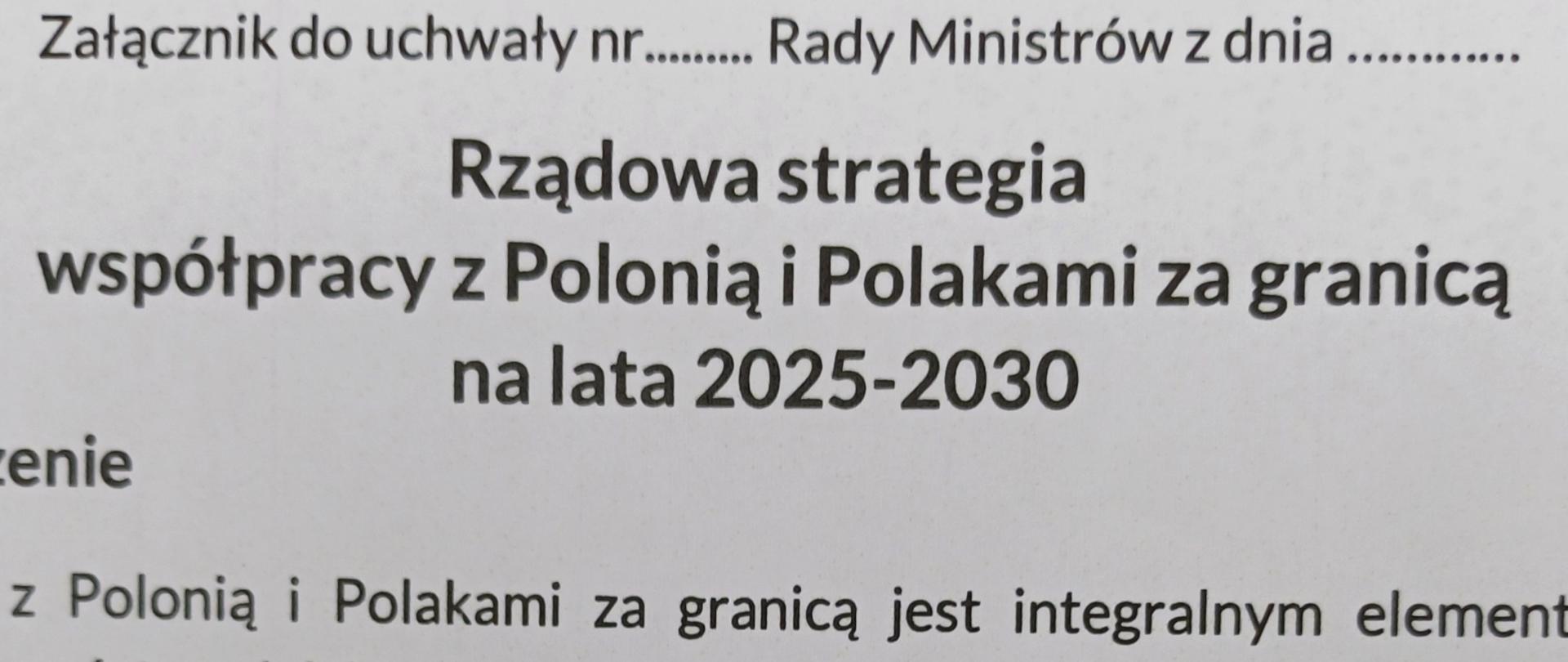 Rządowa strategia współpracy z Polonią i Polakami