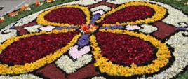 Spycimierska tradycja układania kwietnych dywanów na Boże Ciało została ogłoszona światowym dziedzictwem kultury!