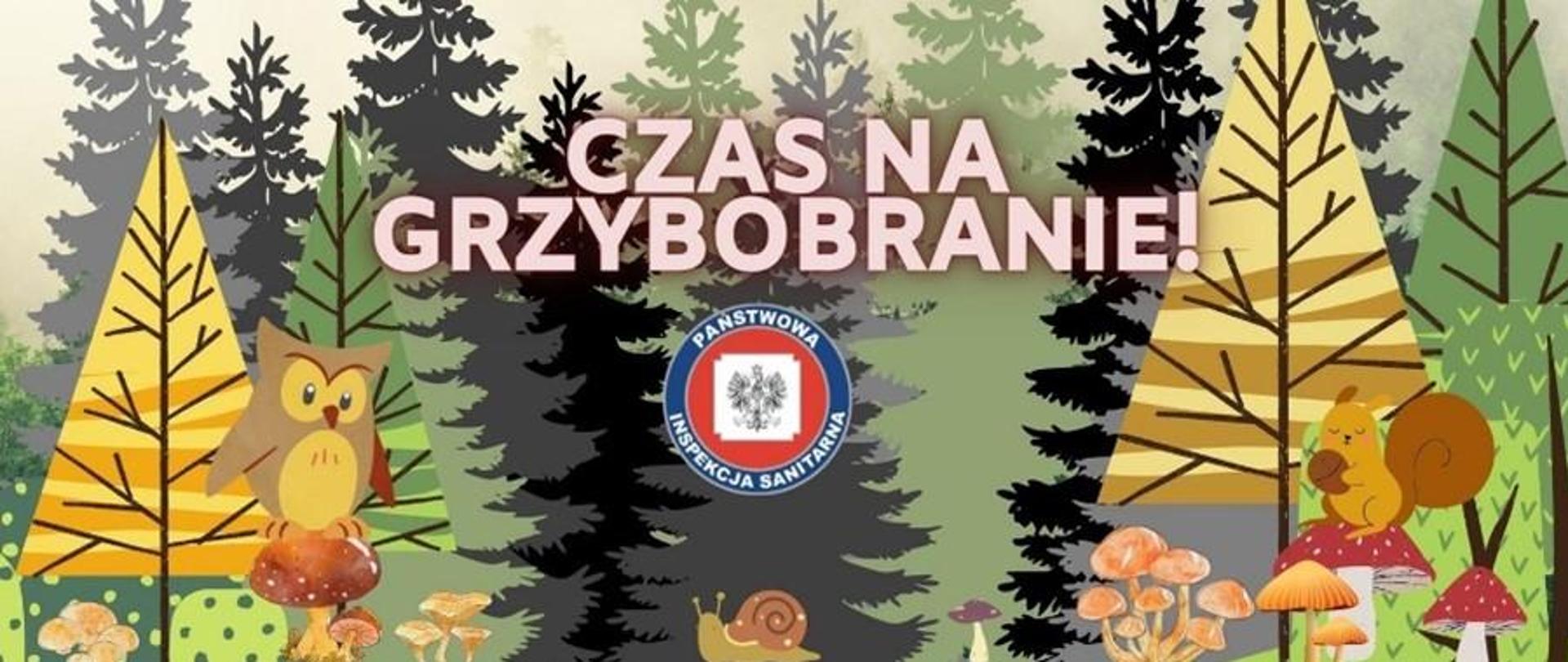 Czas na Grzybobranie