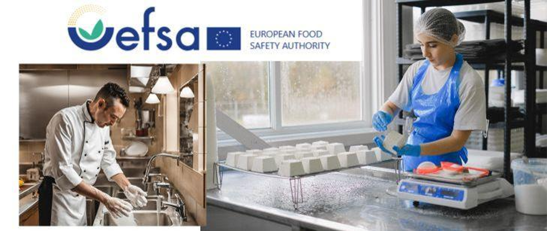 EFSA - Europejski Urząd ds. Bezpieczeństwa Żywności