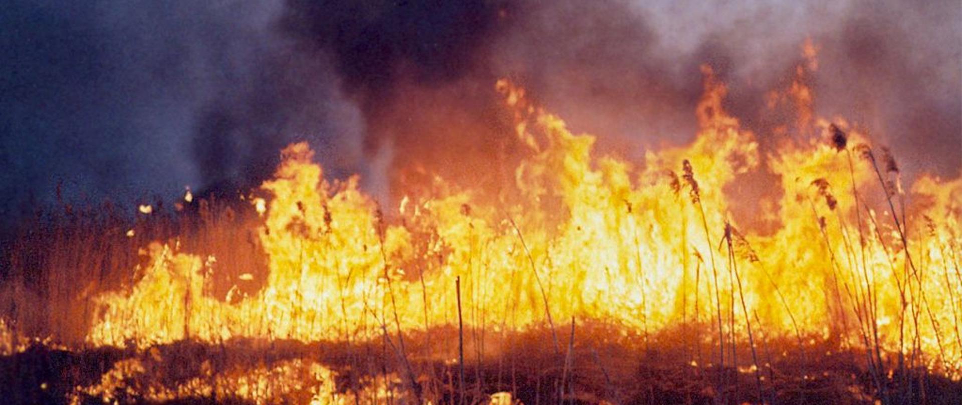 Pożar Biebrzańskiego Parku Narodowego