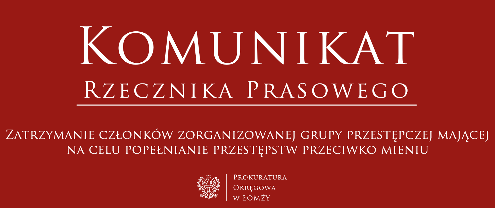 Zatrzymanie członków zorganizowanej grupy przestępczej mającej na celu popełnianie przestępstw przeciwko mieniu