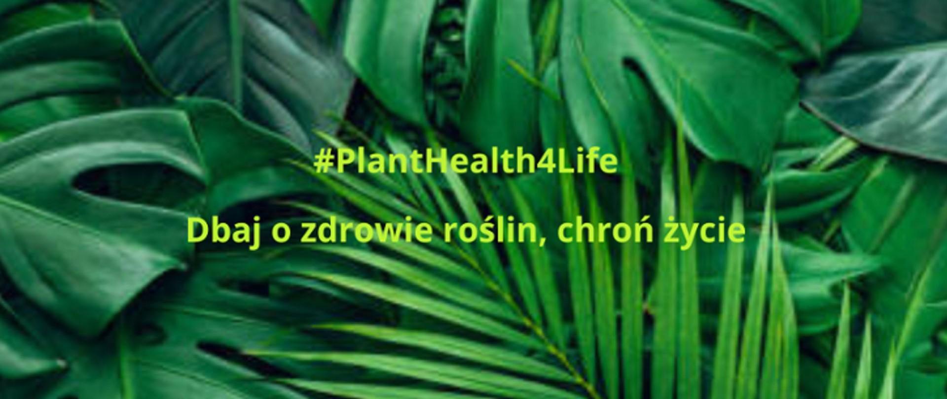 KAMPANIA #PlantHealth4Life