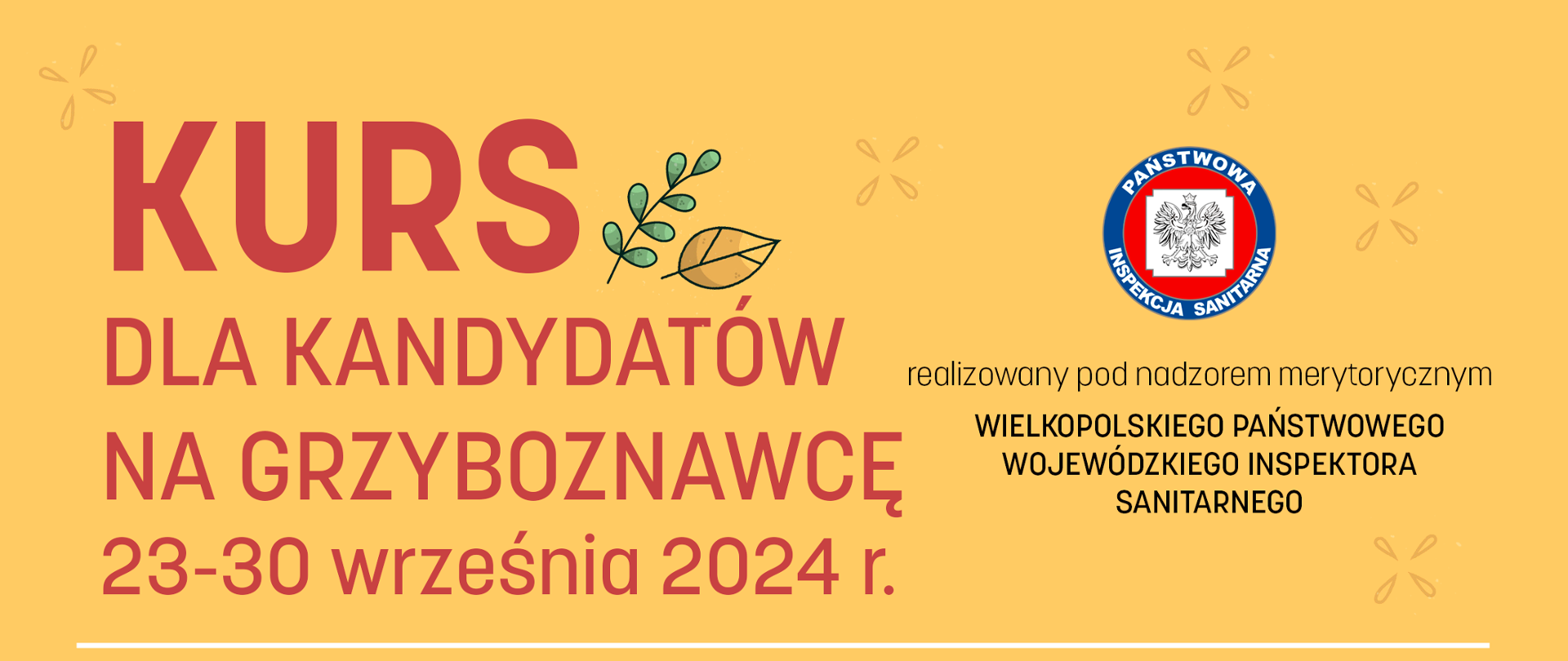 Kurs dla kandydatów na grzyboznawcę