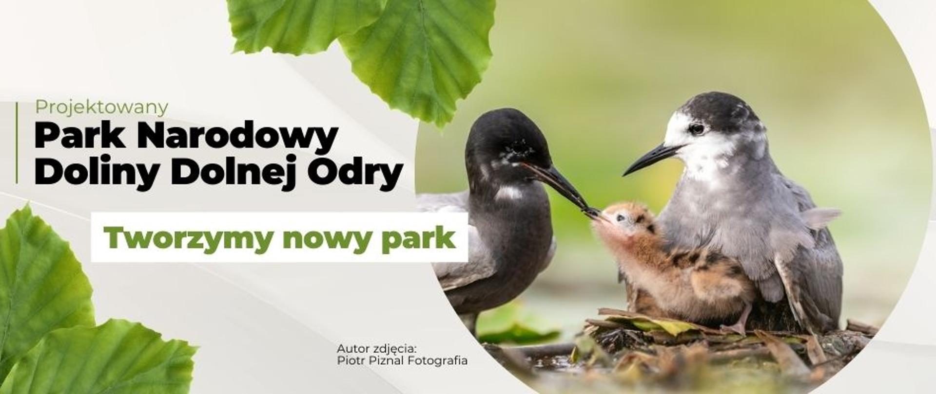 Park Narodowy Doliny Dolnej Odry