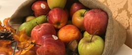 Dekoracja: jabłka i gruszki