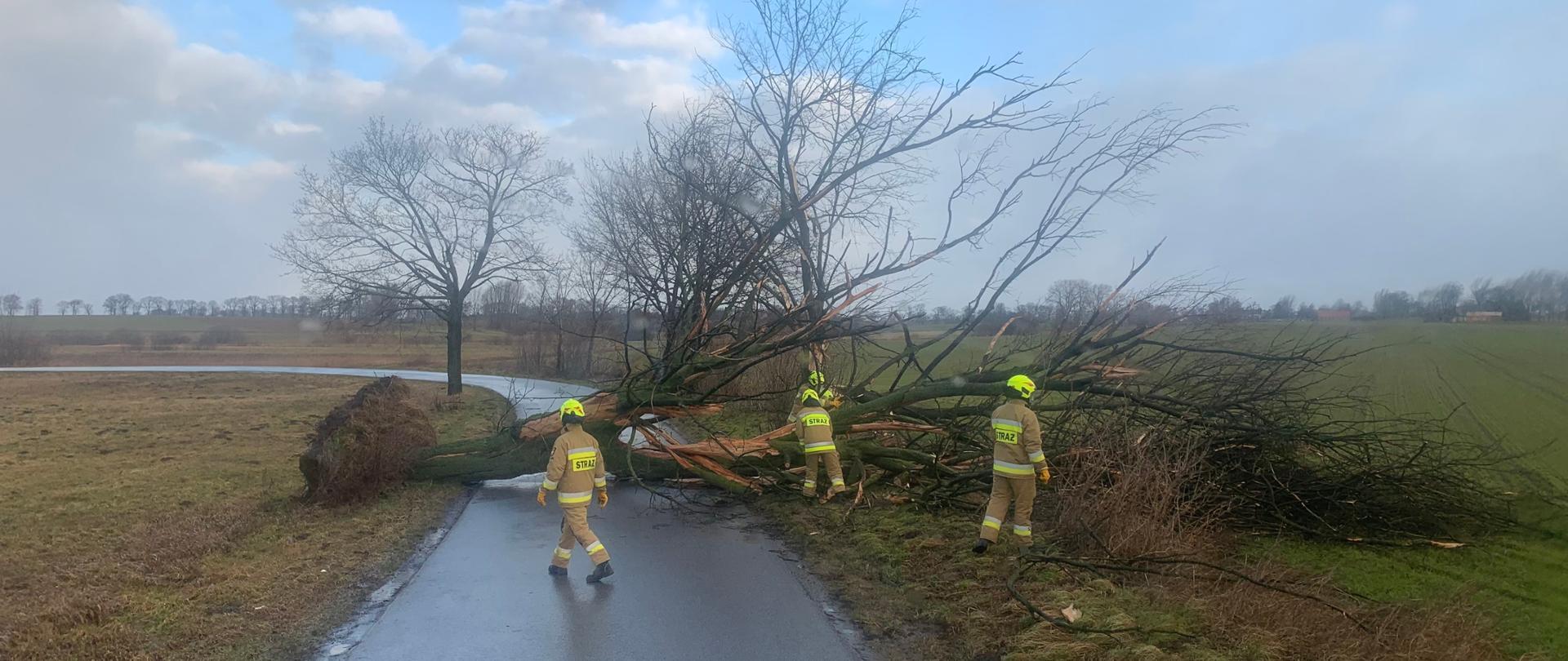 Powalone na drogę drzewo. Strażacy przecinają konary