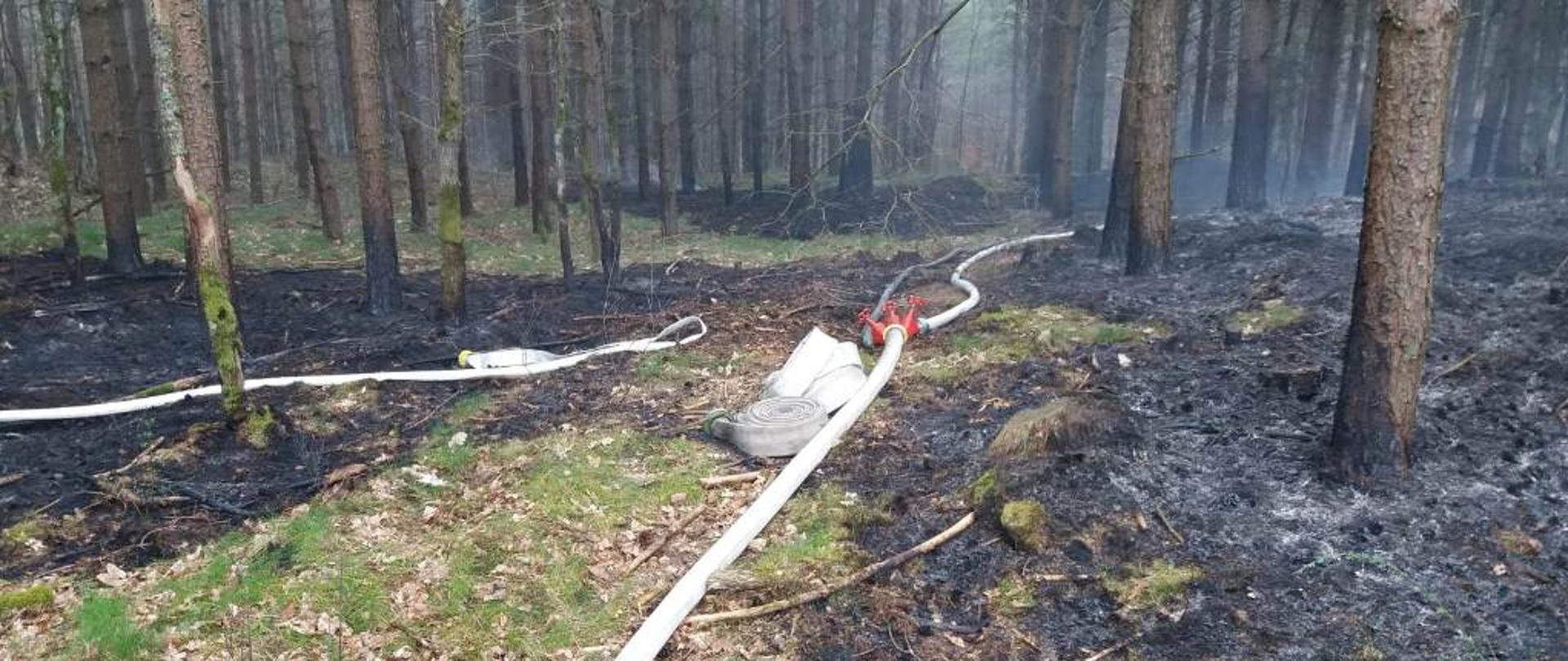 KP PSP Sławno- Groźny pożar lasu