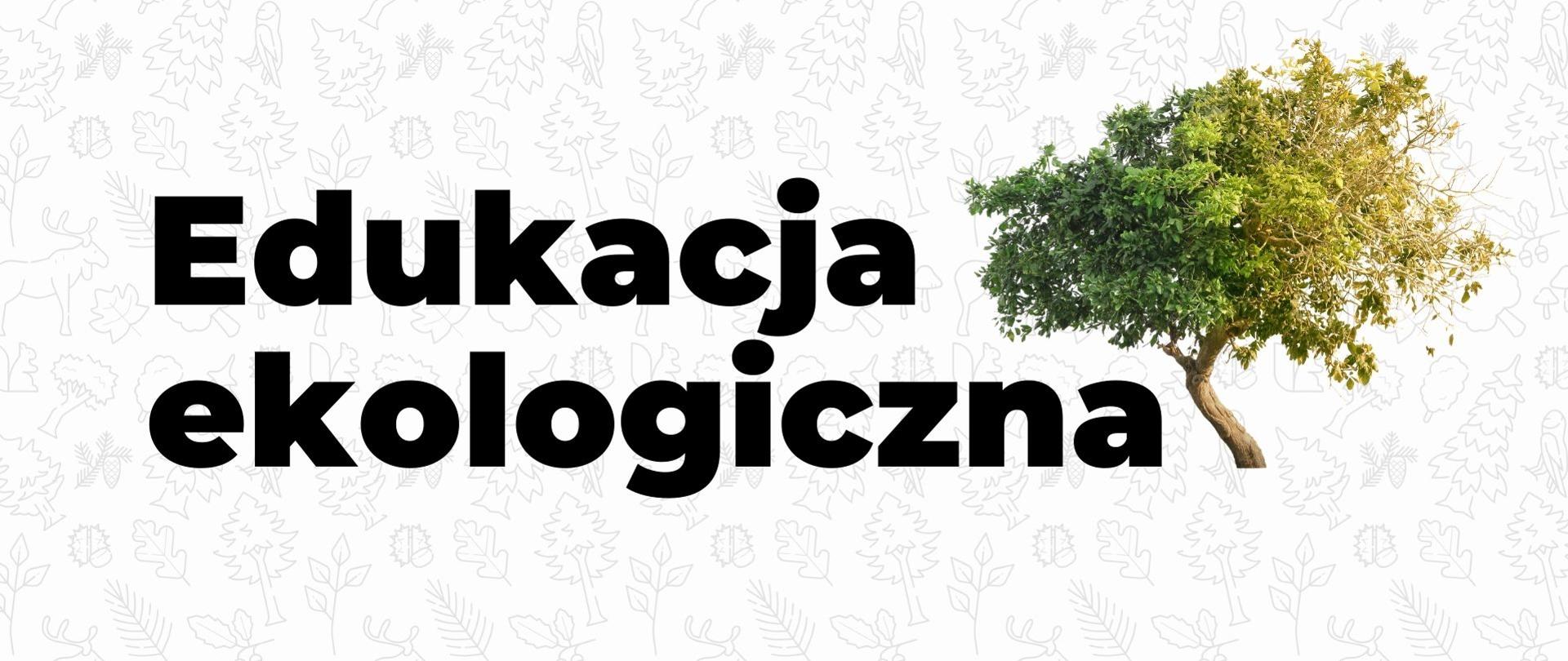 Edukacja ekologiczna