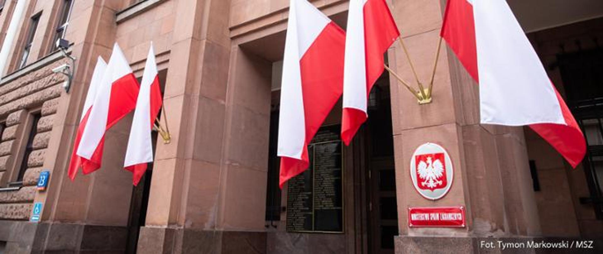Polish MFA_flags at the entrance