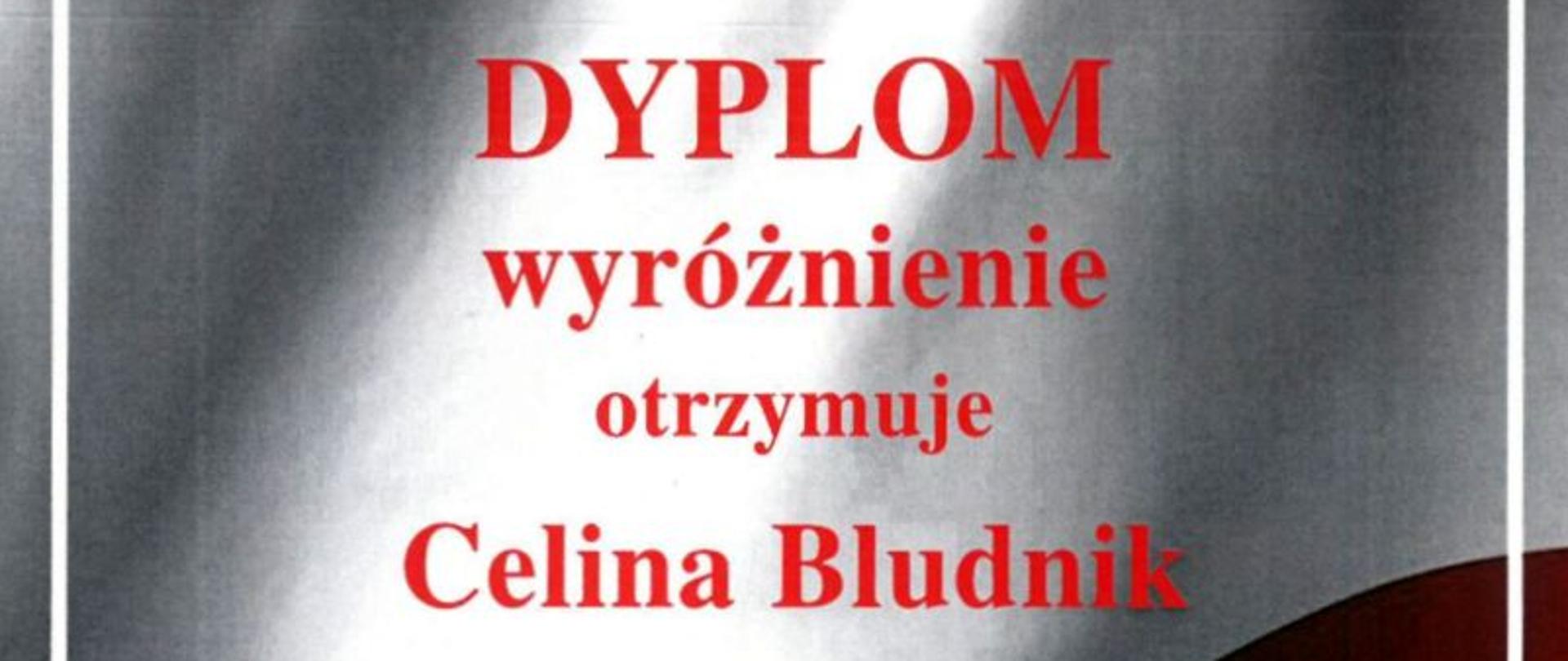 Zdjęcie przedstawia dyplom wyróżnienia dla uczennicy. W tle biało-czerwona flaga Polski. Na dole zdjęcia podpisy jurorów.