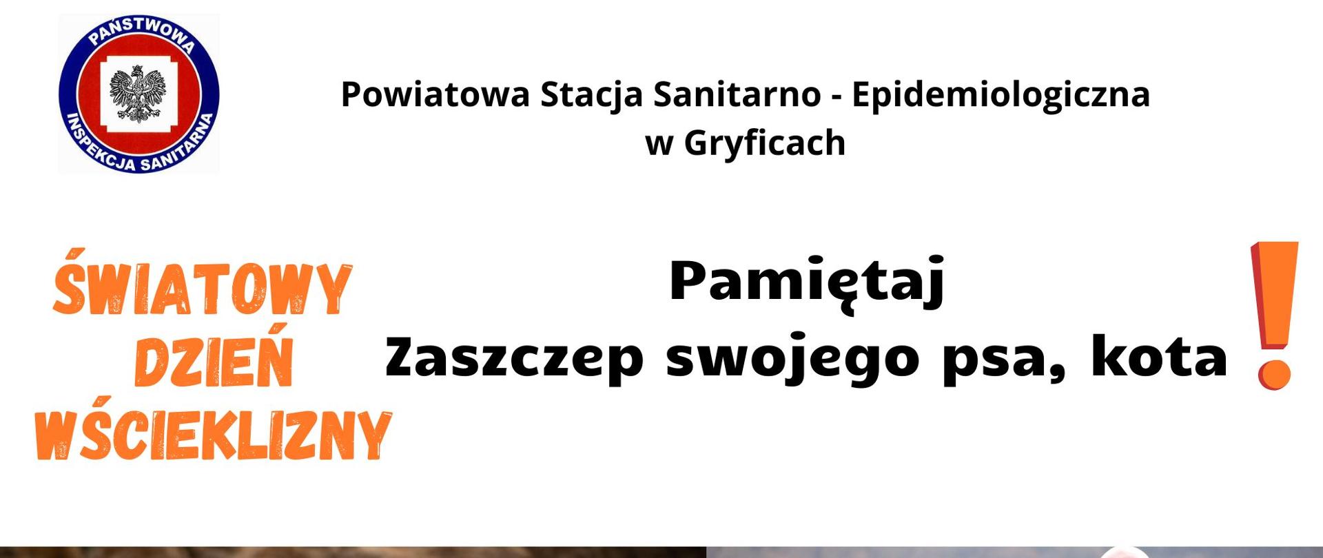 Światowy Dzień Wścieklizny.
Mężczyzna siedzący na plaży trzymający na smyczy psa.
Mężczyzna siedzący na skraju urwiska obok niego dwa psy. 