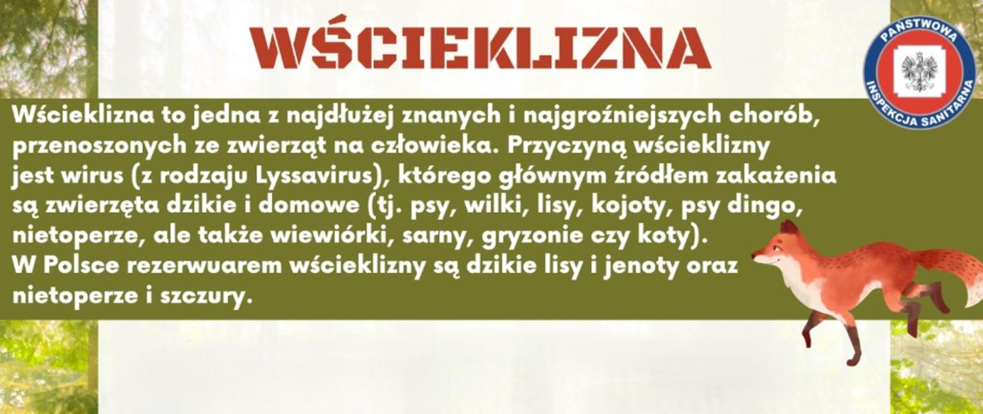 Wścieklizna