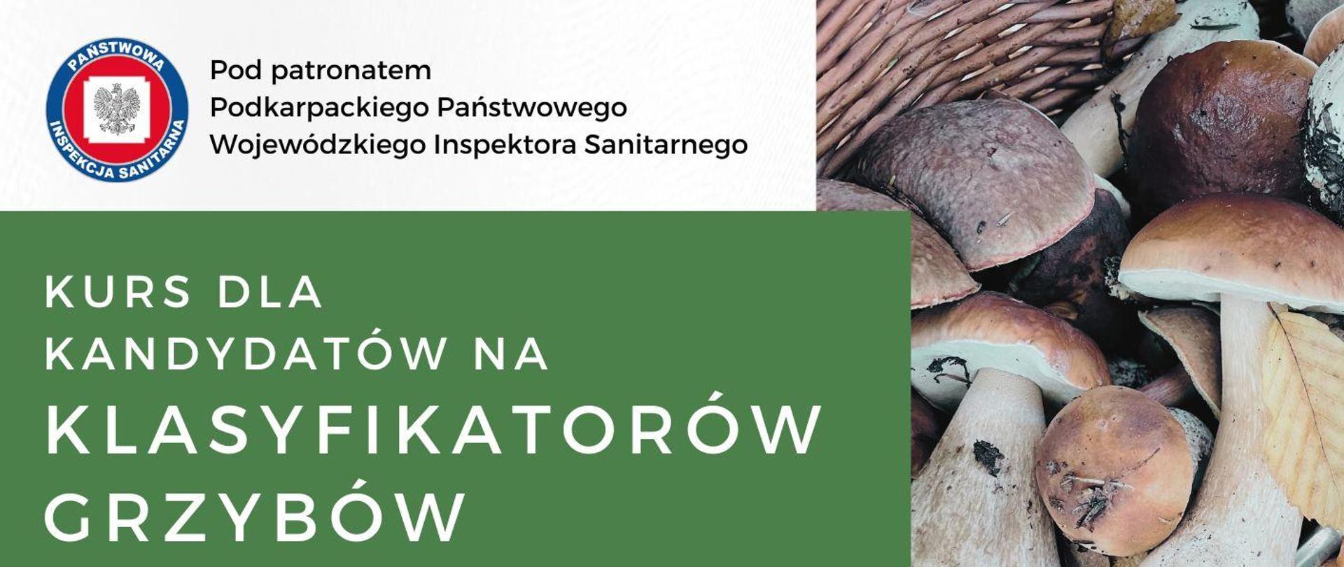 Kurs dla kandydatów na klasyfikatora grzybów