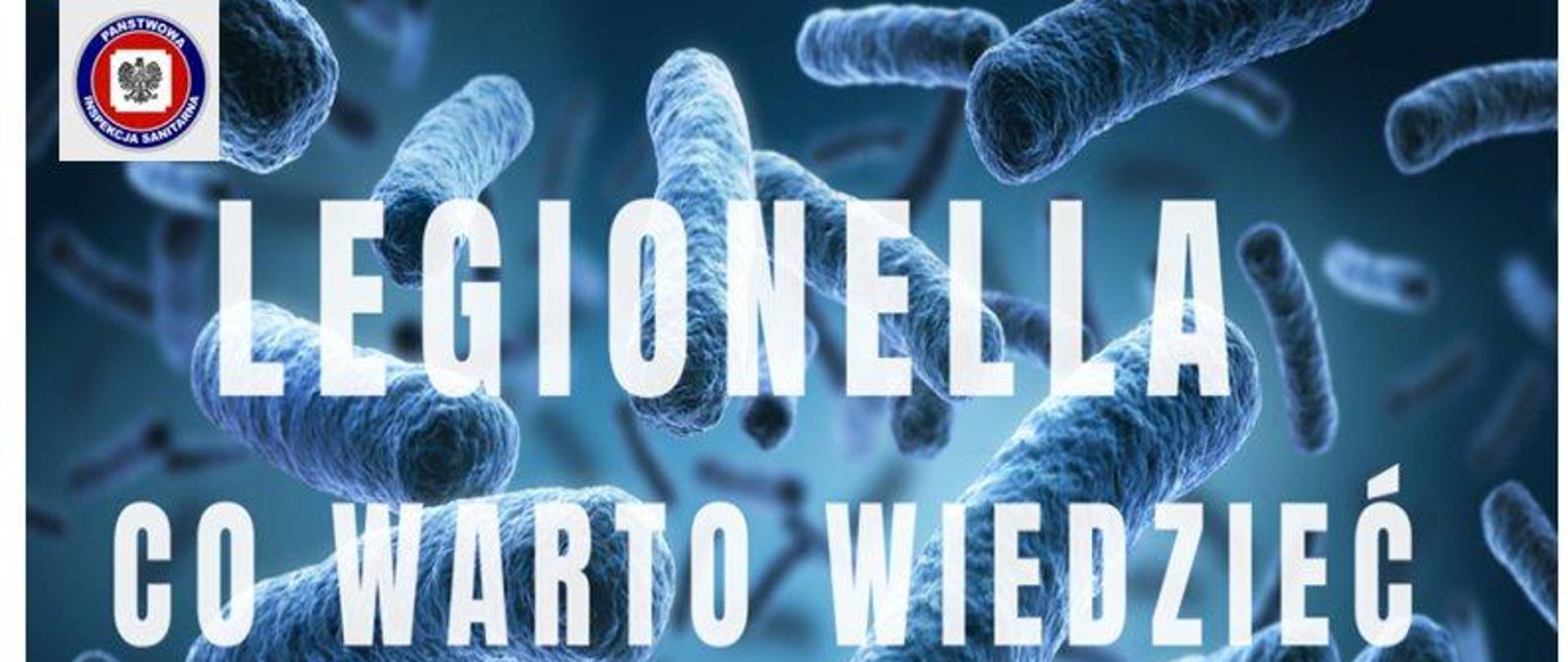 Legionella - co warto wiedzieć