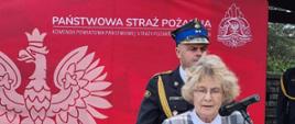 Powiatowy Dzień Strażaka