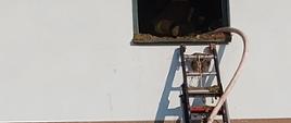 Drabina strażacka przy ścianie hali magazynowej. Po drabinie prowadzona linia gaśnicza.