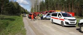 Pojazdy pożarnicze na drodze leśnej