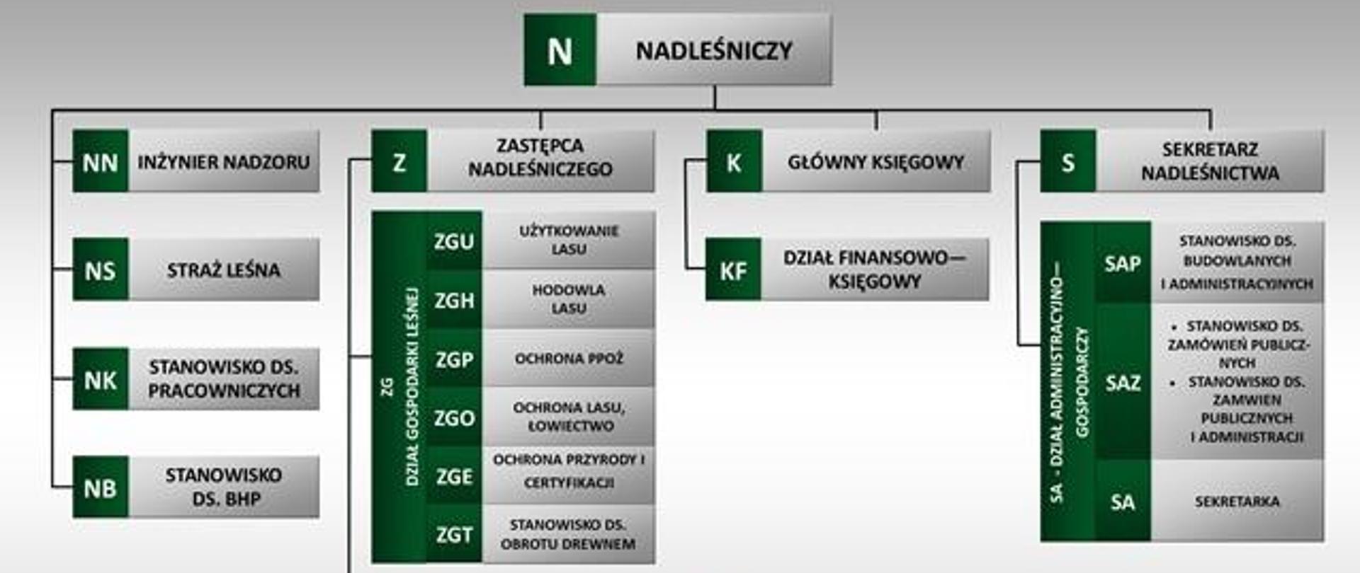 Dokument w formacje JPG przedstawiający schemat organizacyjny Nadleśnictwa Cybinka obowiązujący od dnia 17.04.2024 r.