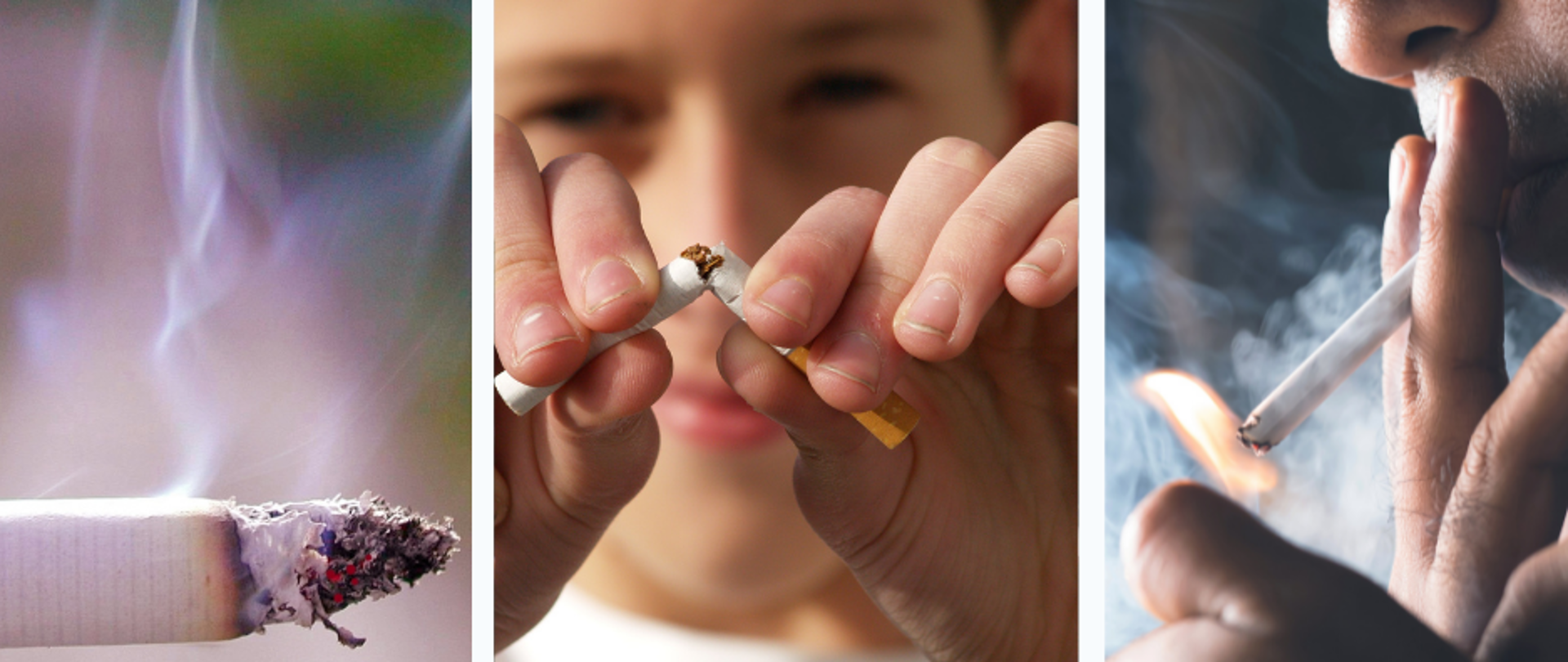 Grafika ze zdjęciami papierosów z napisem 31 maja Światowy dzień bez tytoniu