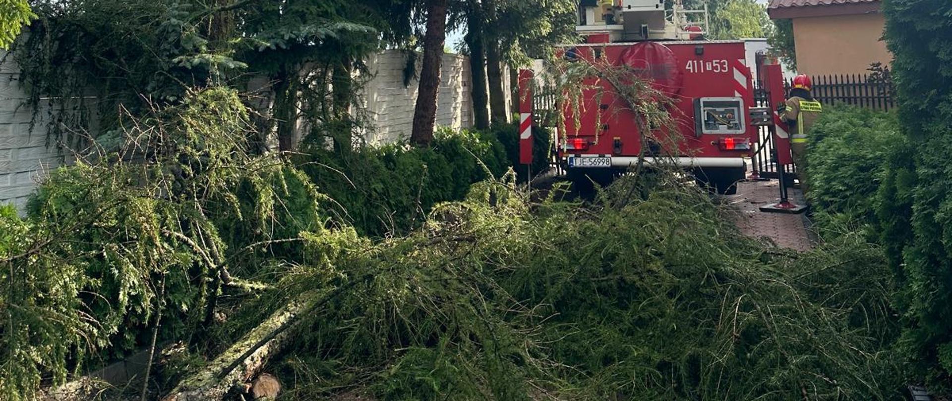 Na zdjęciu rozłożony podnośnik hydrauliczny, który usuwa połamane konary drzewa przy posesji. Obok pojazdu strażak w umundurowaniu specjalnym.