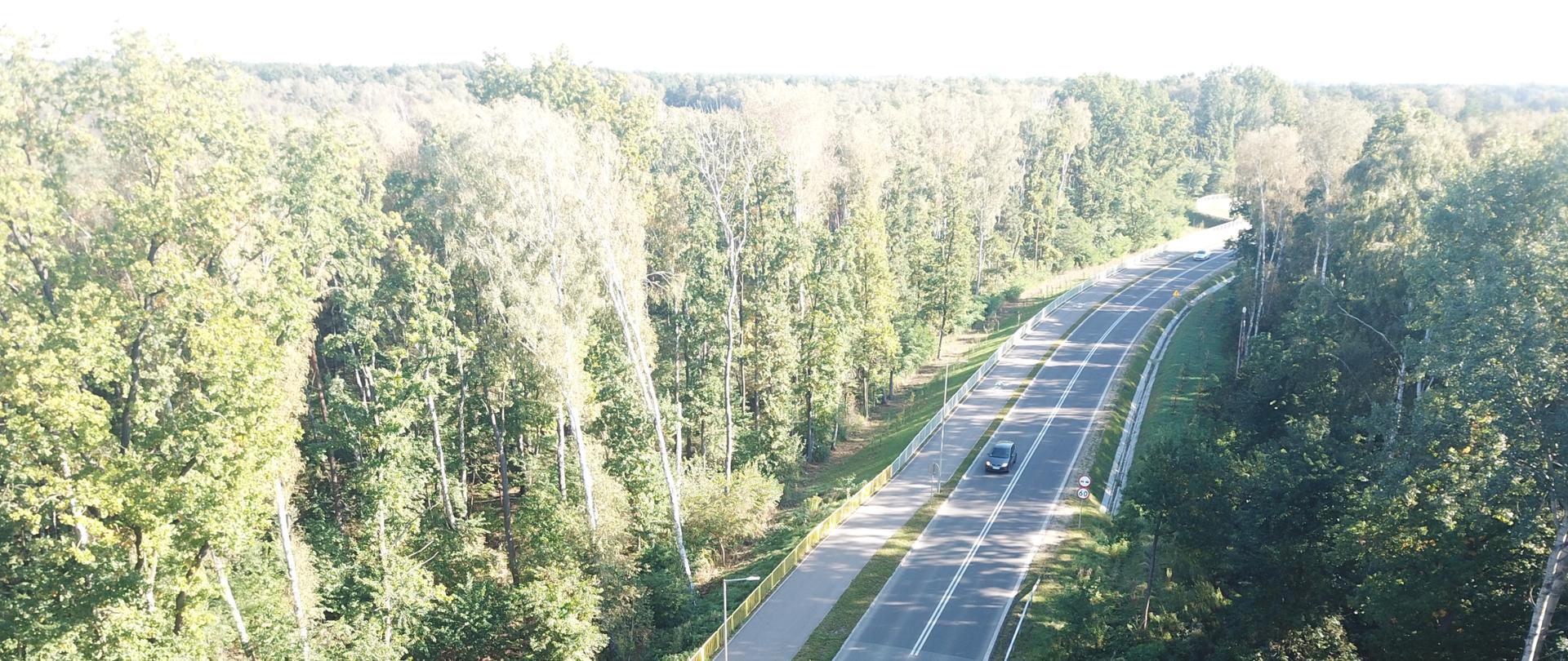 Okolice drogi ekspresowej S8 - Rezerwat Horowe Bagno. Jednojezdniowa droga biegnąca przez gęsty i zielony las. Po lewej stronie jezdni biegnie ścieżka rowerowa.
