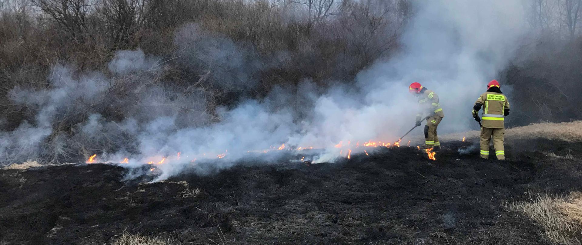 Zdjęcie przedstawia dwóch strażaków, którzy gaszą paląca się trawę za pomocą tłumic. Na dole zdjęcia widać czarną spaloną trawę. Pośrodku strażacy stoją w dymie i pośród płomieni. Za nimi znajdują się zarośla. Strażacy ubrani są w ubrania bojowe a na głowach maja hełmy.