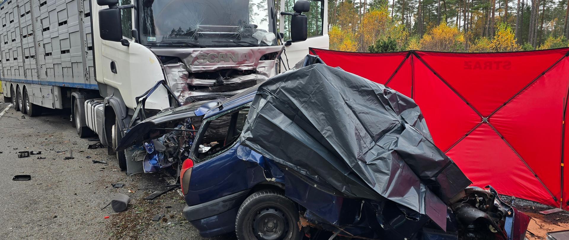 Tragiczny wypadek w pobliżu miejscowości Zdroje na drodze krajowej nr 20