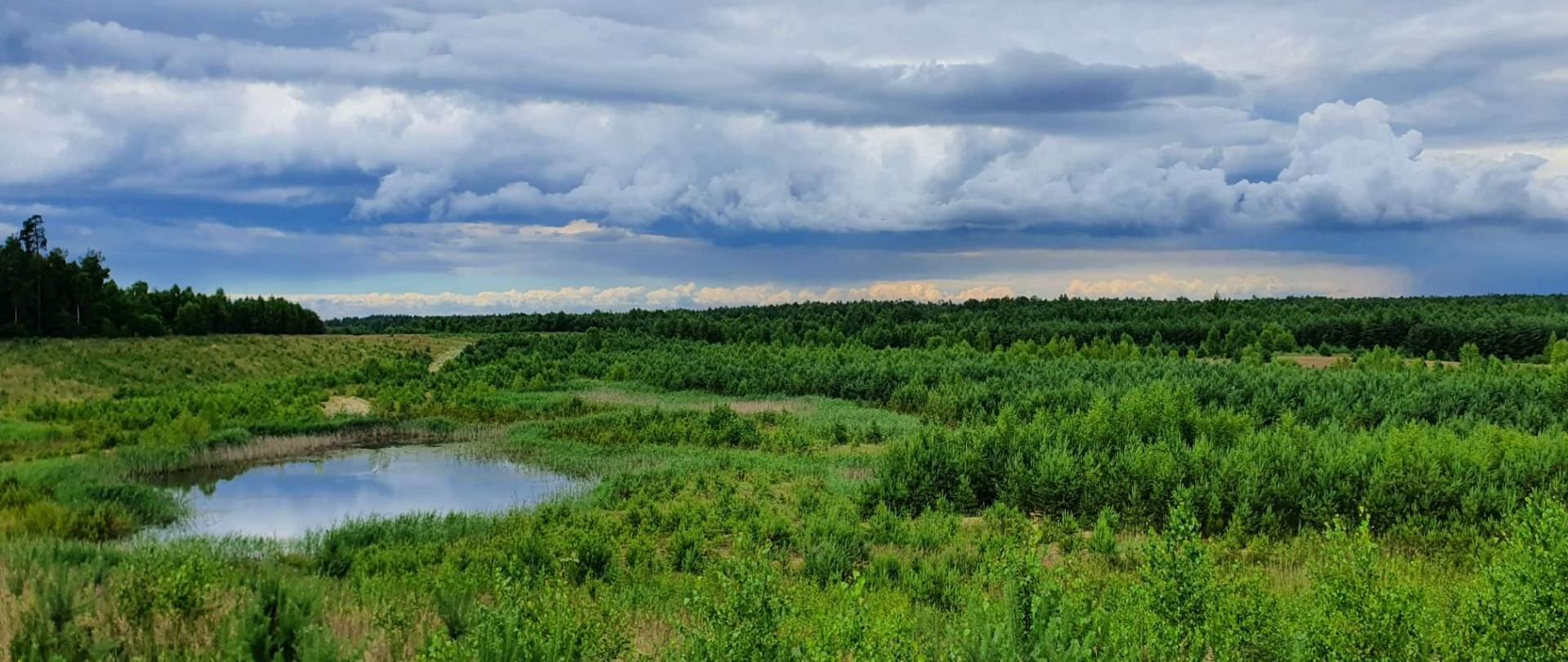 Teren powyrobiskowy kopalni kruszyw Kotlarnia