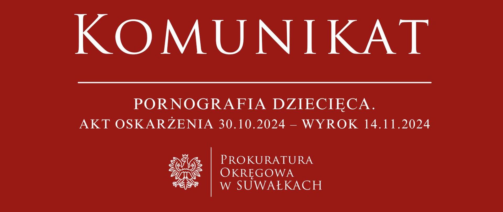 Pornografia dziecięca. Akt oskarżenia 30 października – wyrok 14 listopada