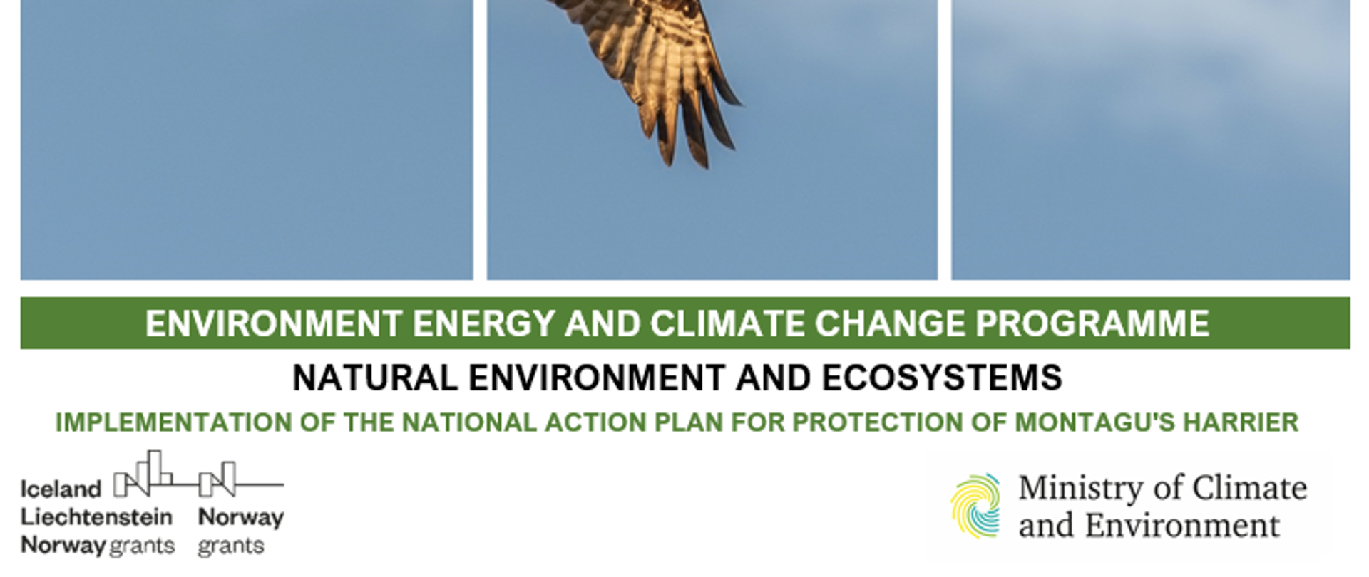 Implementation Of The National Action Plan For Protection Of Montagu's Harrier EEA GRANTS