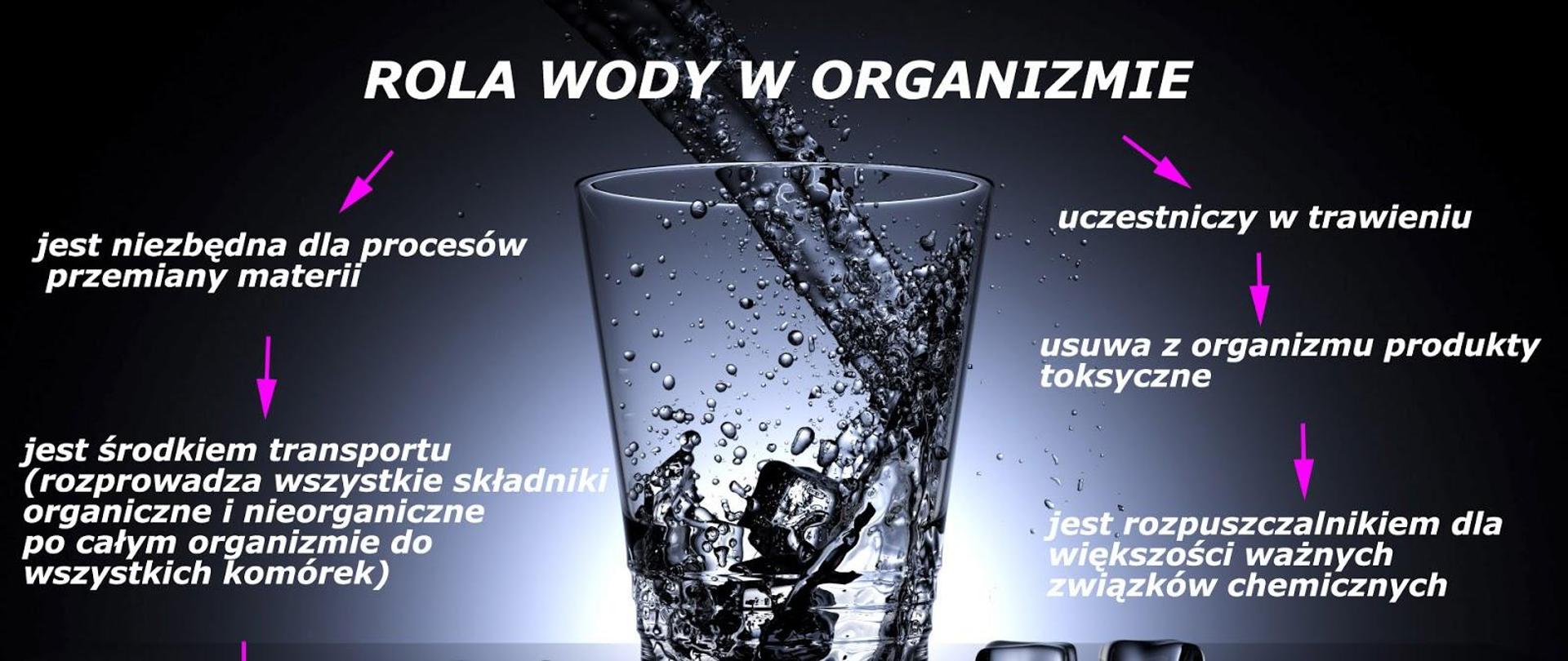 Woda w organizmie