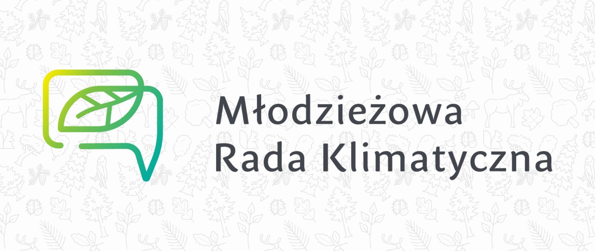 Młodzieżowa Rada Klimatyczna