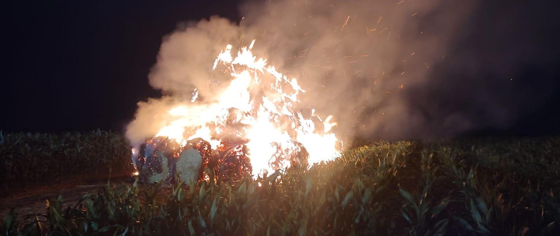 Zdjęcie przedstawia palącą się stertę słomy.