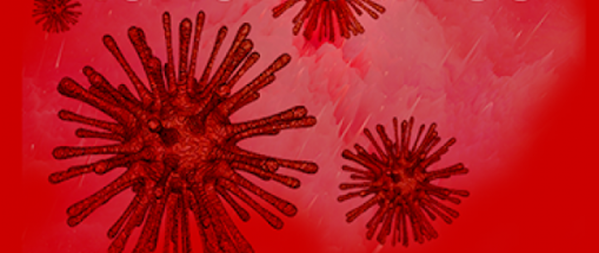 zdjęcie przedstawiające wirusy SARS-CoV-2 na czerwonym tle