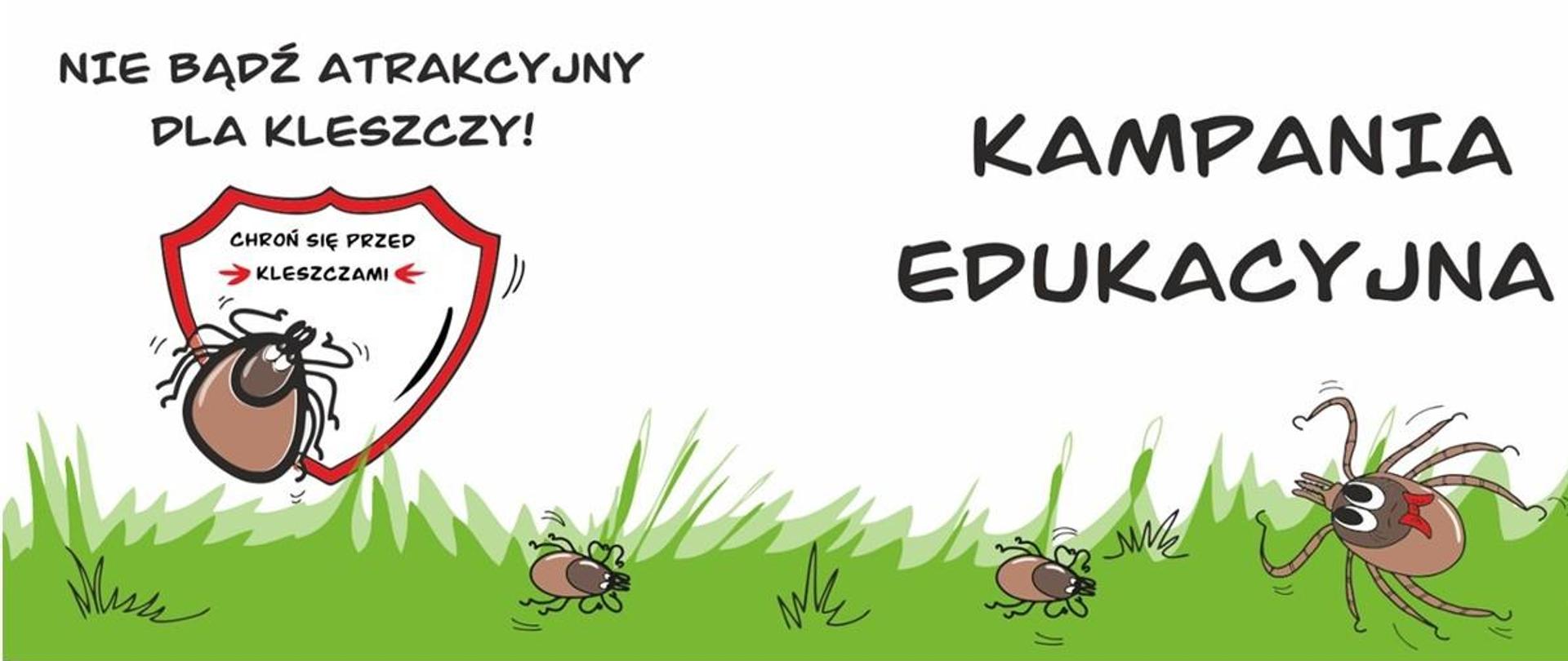 Nie bądź atrakcyjny dla kleszczy